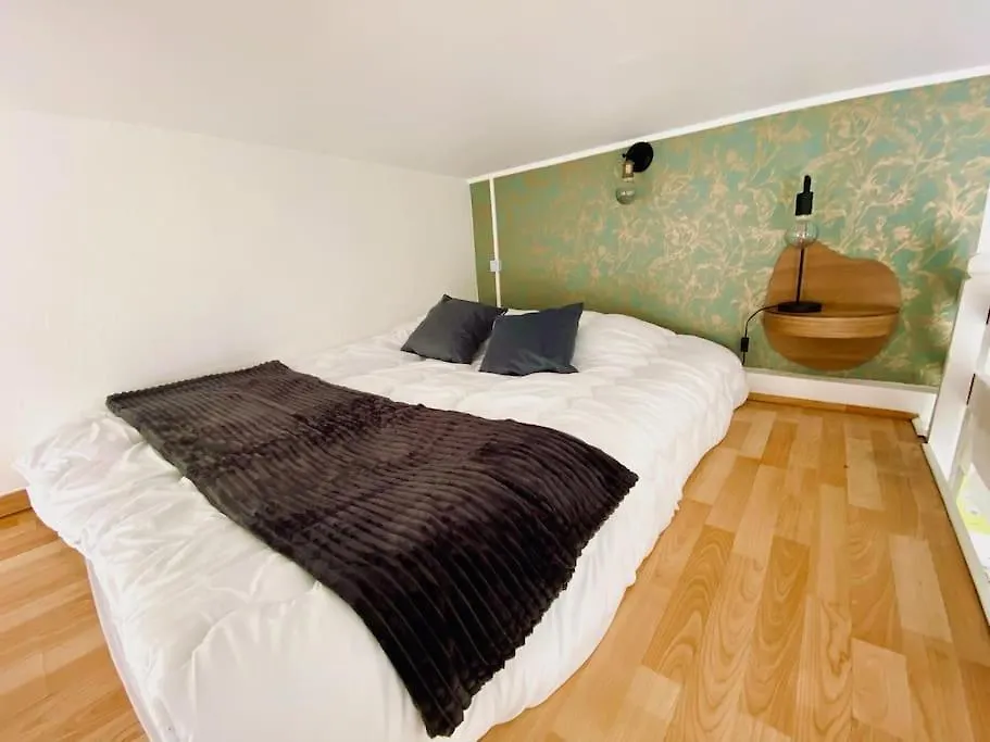Studio Cosy Jardin Des Plantes Tolosa Appartamento